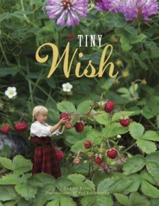 TinyWish