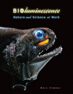 bioluminescence